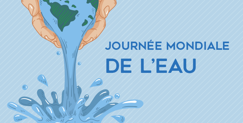 Journ E Mondiale De Leau Cogem